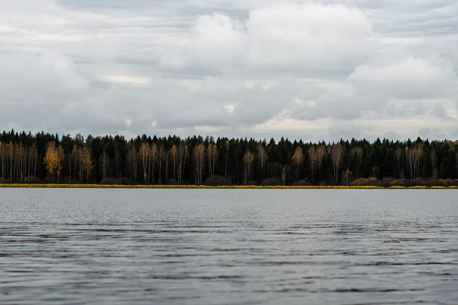 (2019) ОБЬ 3М Ветровое стекло Премиум с боковиной Классик, Платформа фиш