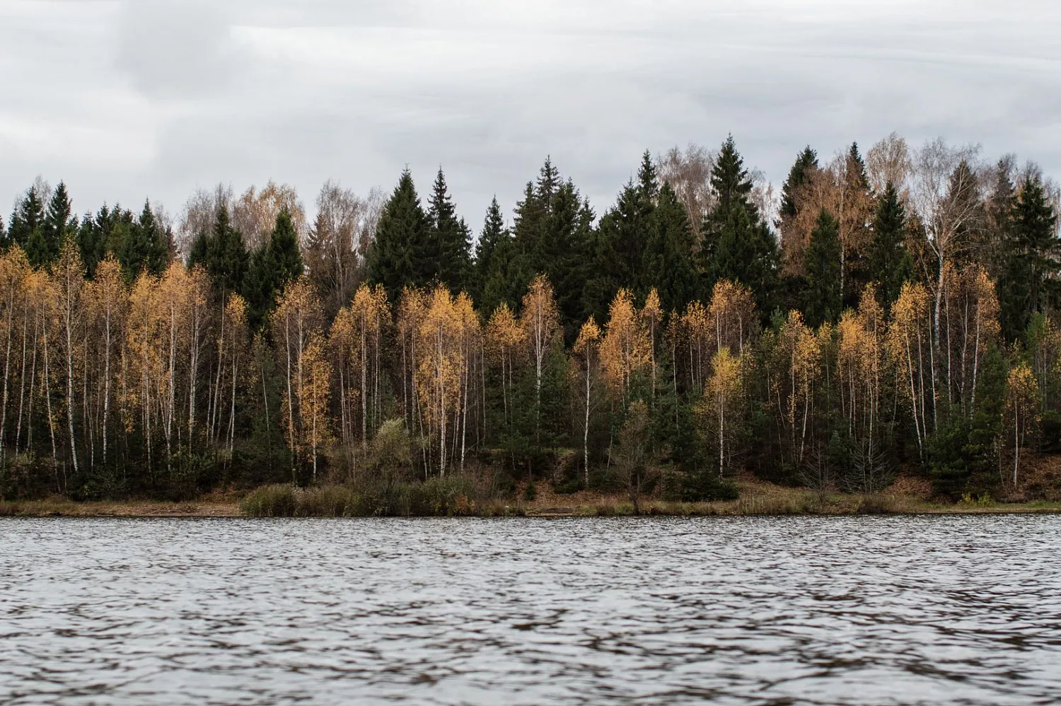 (2019) ОБЬ 3М Ветровое стекло Премиум с боковиной Классик, Платформа фиш